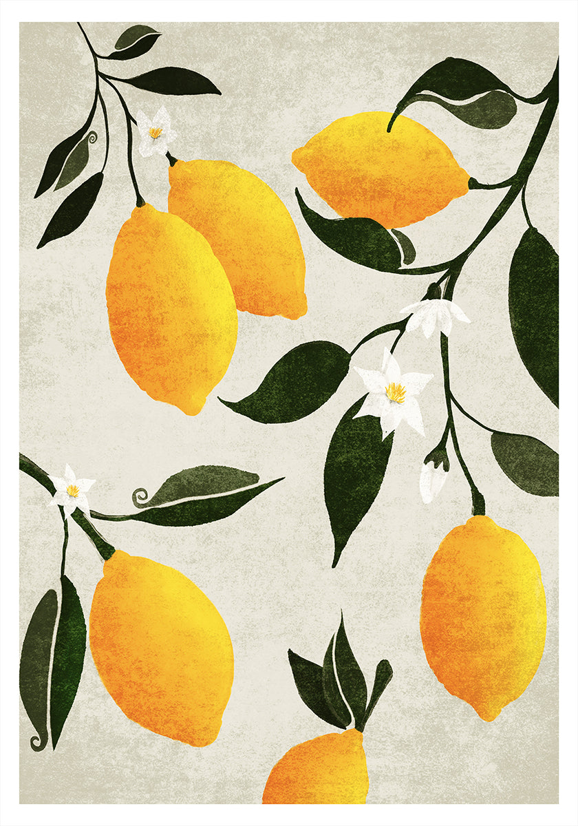 Citrus Symphony Plakat - Posterbox