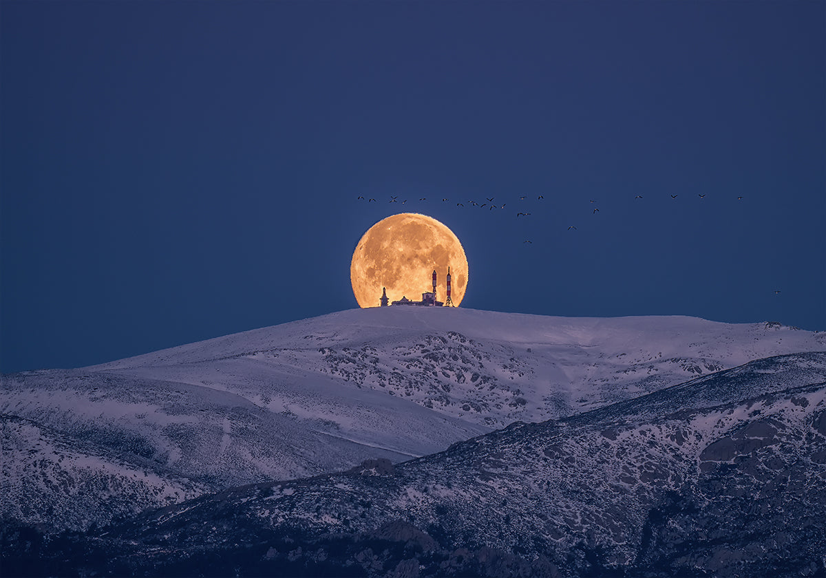 SNoW & MooN Plakat - Posterbox