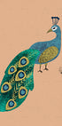 Peacock Erum Khalili.png Plakat - Posterbox