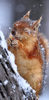 winter - Posterbox
