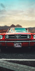 Vintage Car Love Plakat - Posterbox
