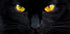 The hypnotist of the night - Posterbox