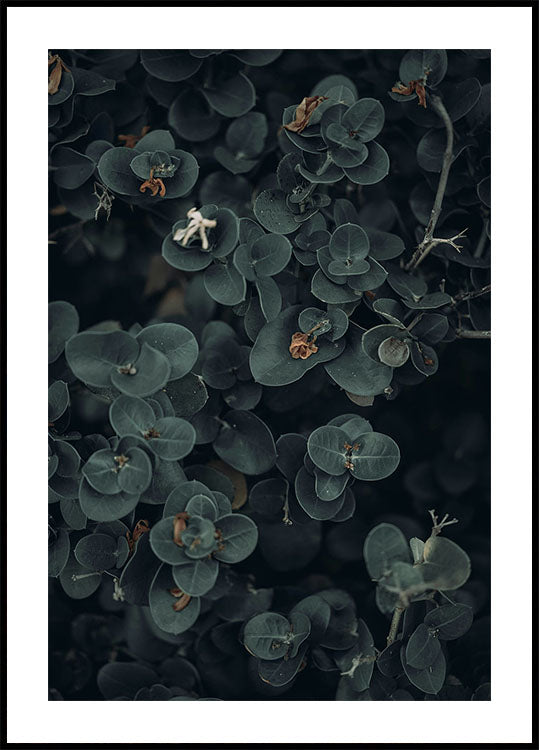 Dark And Green Botanical Plakat - Posterbox.dk
