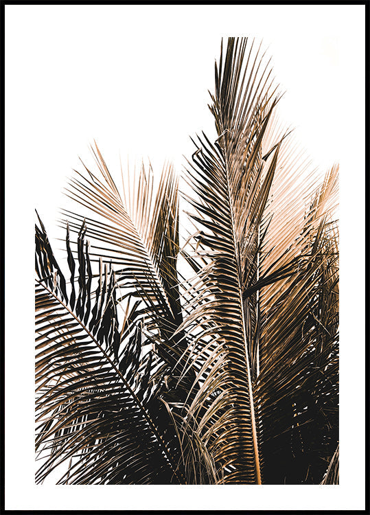 Palm Leaves No. 1 Plakat - Posterbox.dk