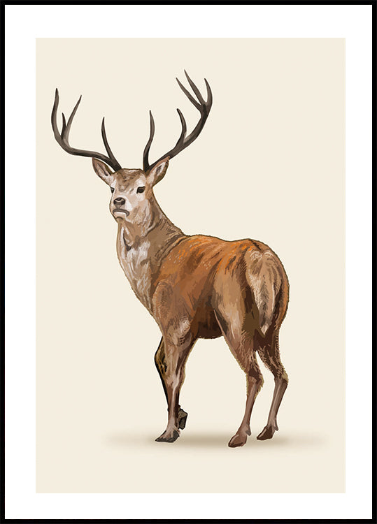 Brown Deer Plakat - Posterbox.dk