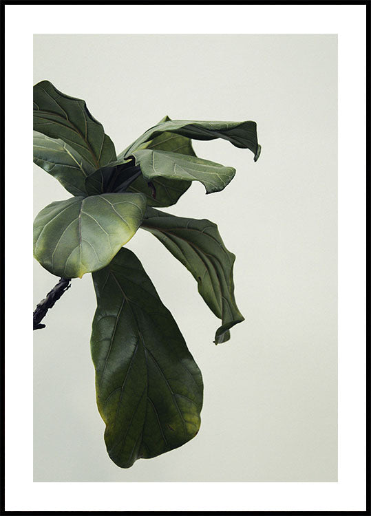 Botanical Leaves Plakat - Posterbox.dk