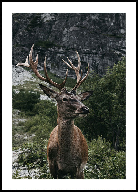 Deer and Mountains Plakat - Posterbox.dk