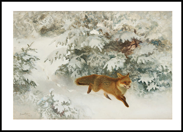 Fox in Winter Landscape By Bruno Liljefors No. 1 Plakat - Posterbox.dk