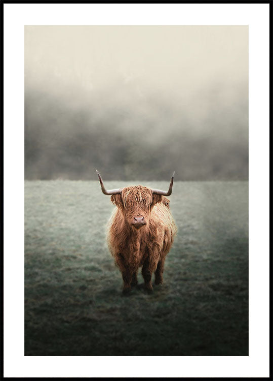 Yak in The Field Plakat - Posterbox.dk