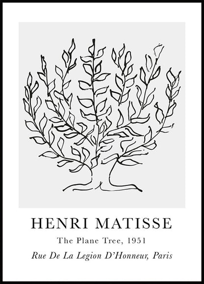 H. Matisse The Plane Tree Plakat