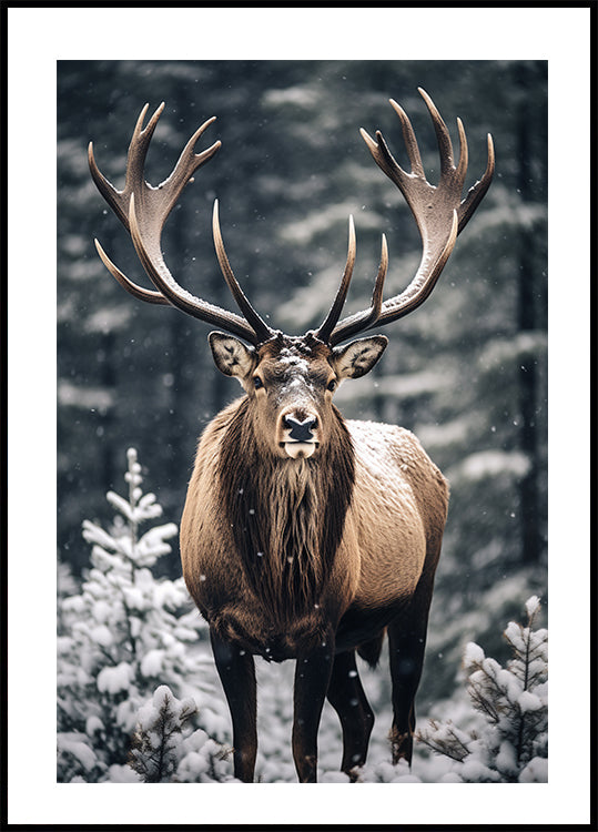Stag In Forest Plakat - Posterbox.dk