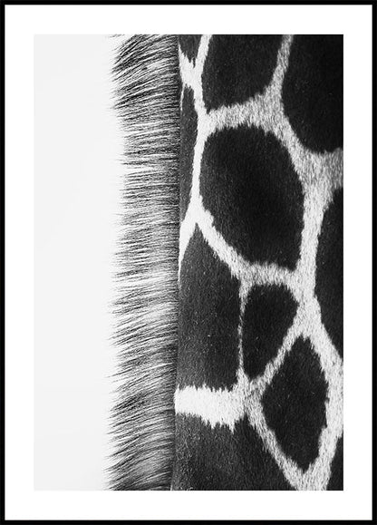 Giraffe Neck Plakat