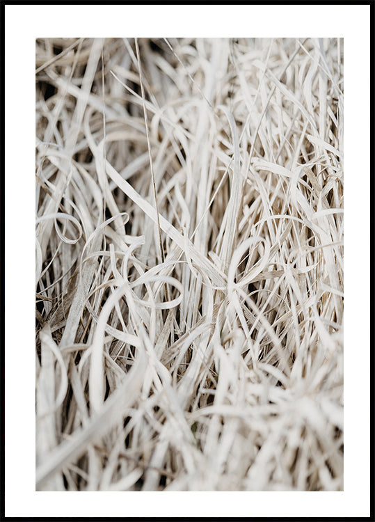 Grass Plakat - Posterbox.dk