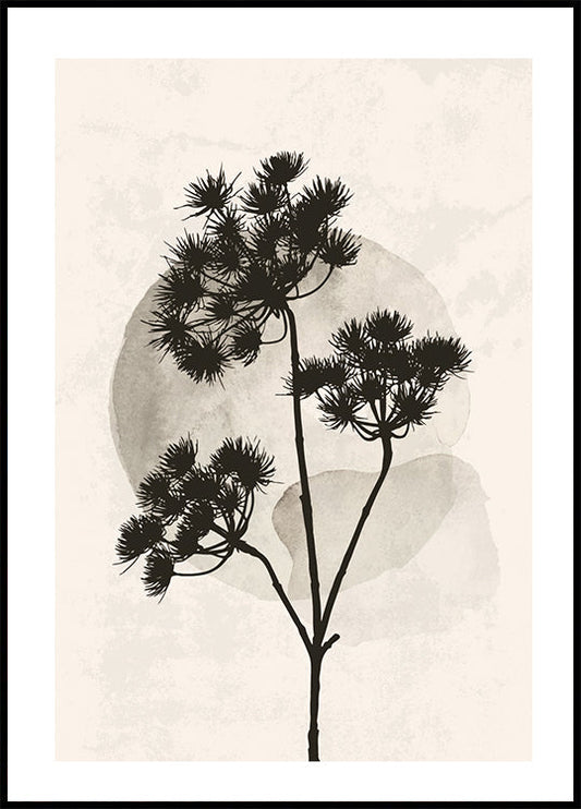 Dried Flower Silhouette Plakat