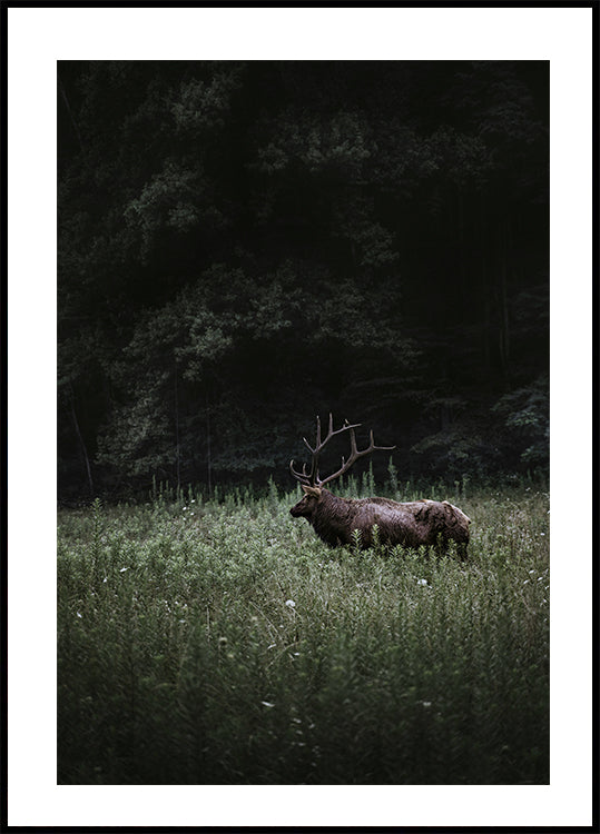 Deer in Nature Plakat - Posterbox.dk