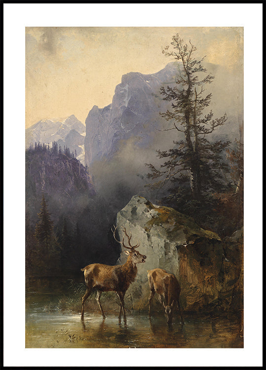 Hirsch Und Tier An Der Tränke By Friedrich Gauermann Plakat - Posterbox.dk