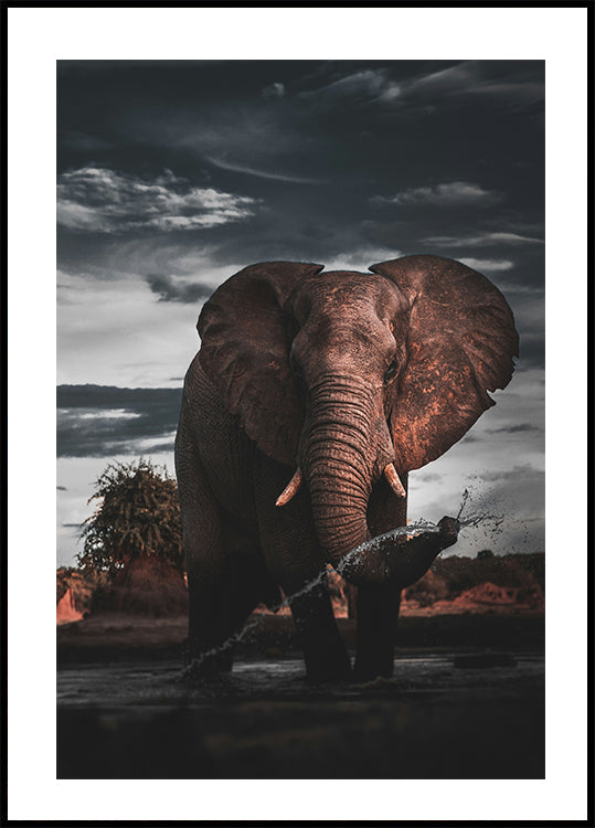 Majestic Elephant in Nature Plakat - Posterbox.dk
