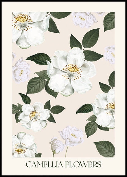 Camellia Flowers Plakat