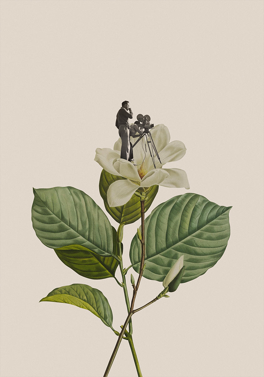 Botanical vintage cameraman Plakat - Posterbox