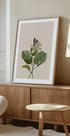 Botanical vintage cameraman Plakat - Posterbox