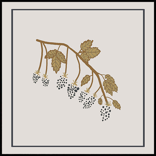 Blackberry Spring (NEW) - Posterbox