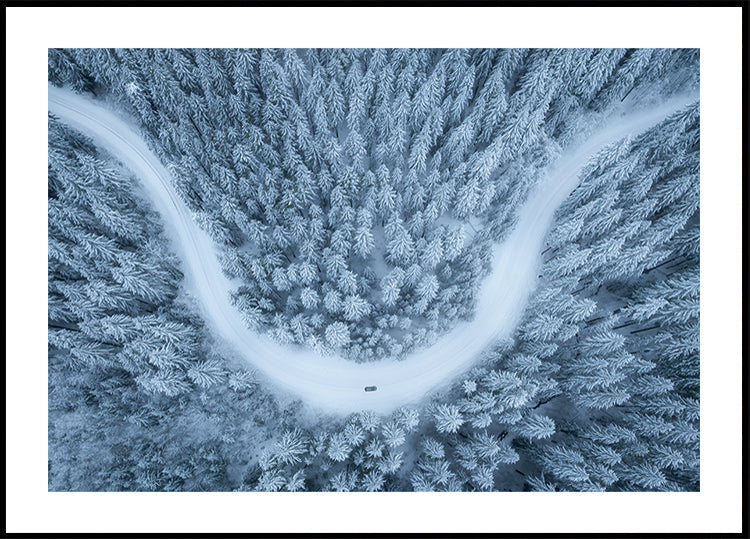 Snowy drive Plakat - Posterbox