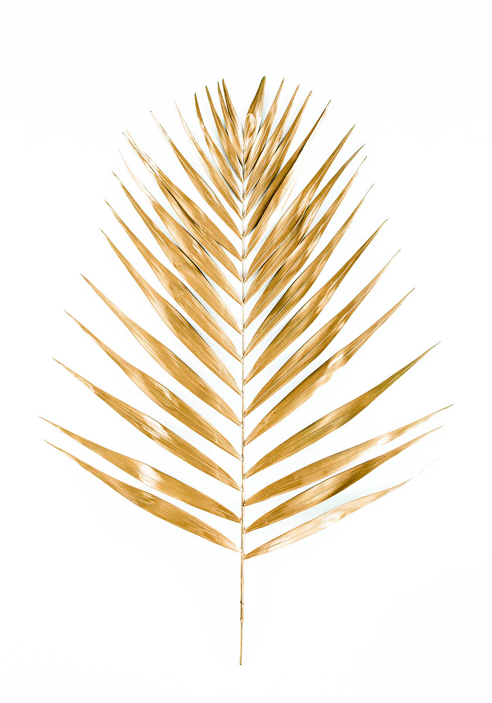 Gold Palm Leaf Plakat