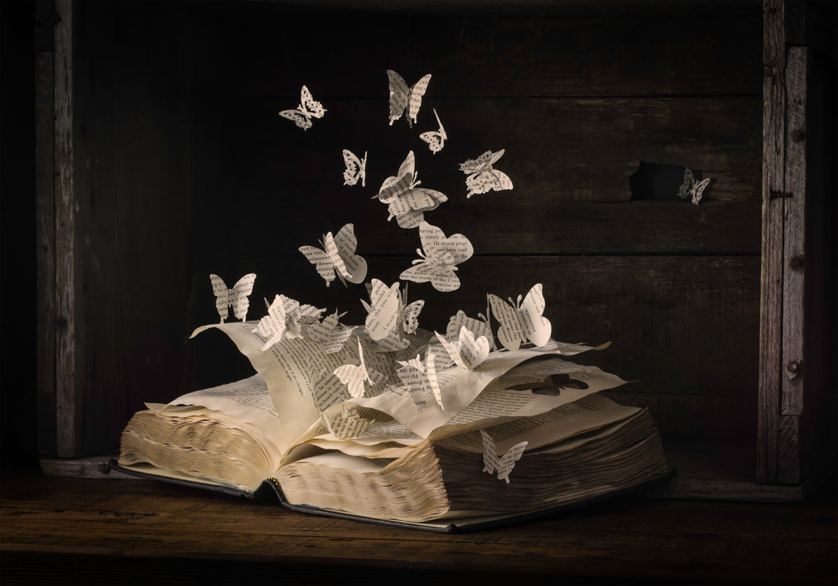 Lepidopterology - Posterbox