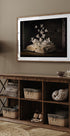 Lepidopterology - Posterbox