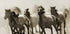 Horse - Posterbox