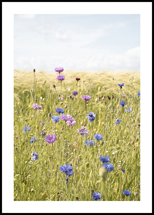 All the Wildflowers (NEW) - Posterbox