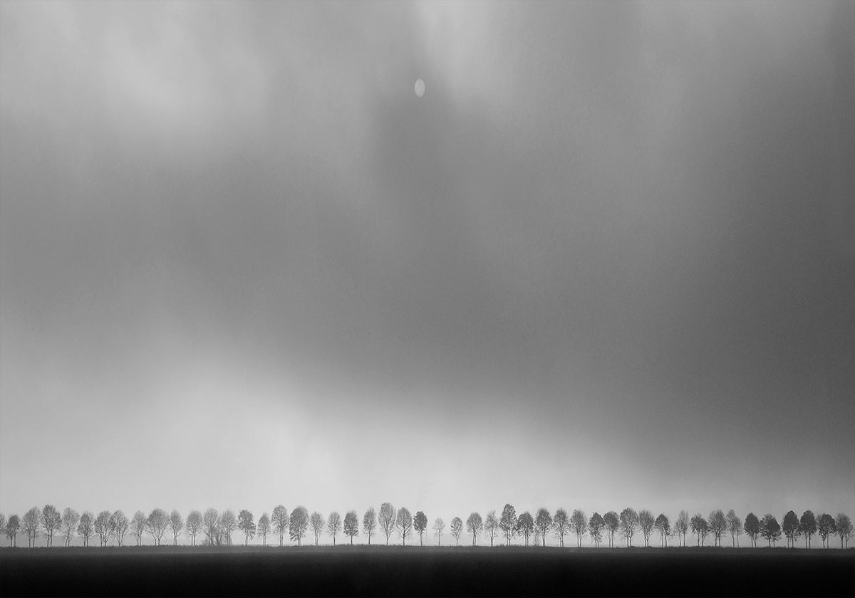 Polderlandscape - Posterbox