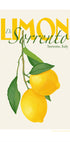 Pandclimondisorrento Copy Plakat - Posterbox