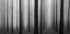 In a Fog - Posterbox