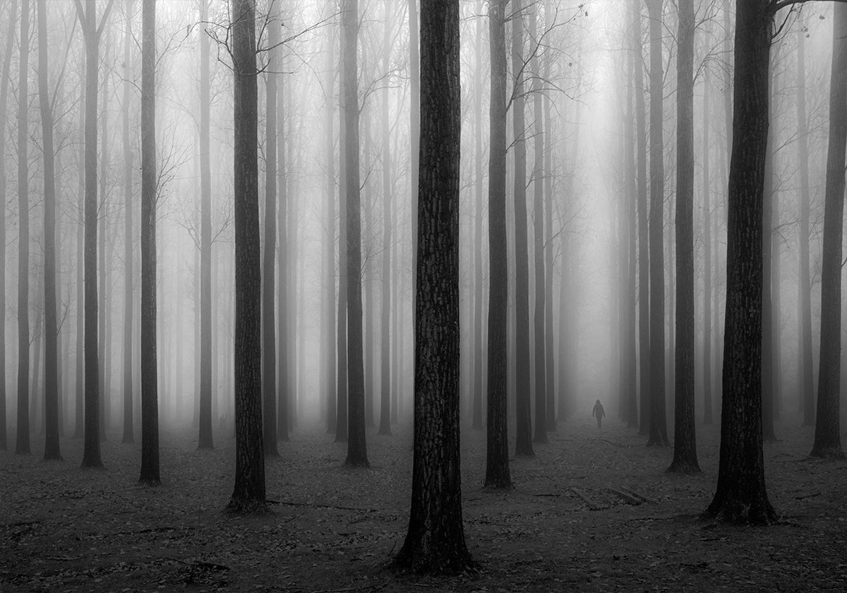 In a Fog - Posterbox