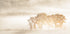 Autumn Dreams Plakat - Posterbox