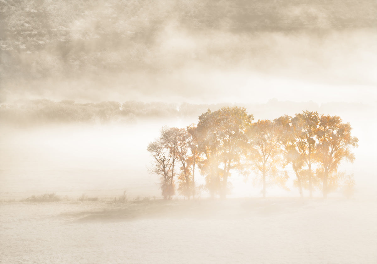Autumn Dreams Plakat - Posterbox
