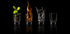 Elements... - Posterbox