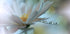 Light touch... - Posterbox