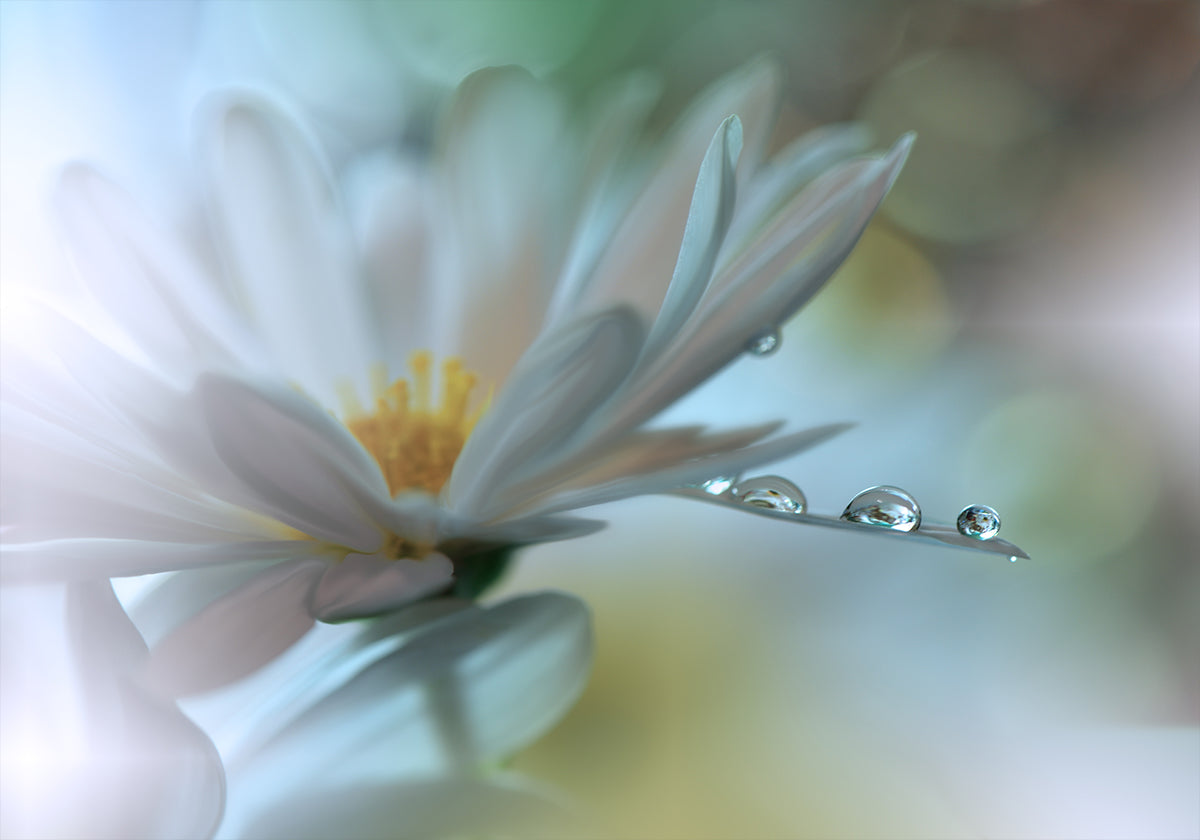 Light touch... - Posterbox
