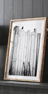 freed - Posterbox