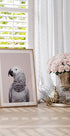 African Grey - Posterbox