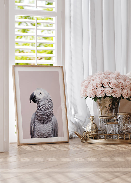 African Grey - Posterbox