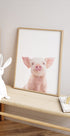 Baby Pig Plakat - Posterbox