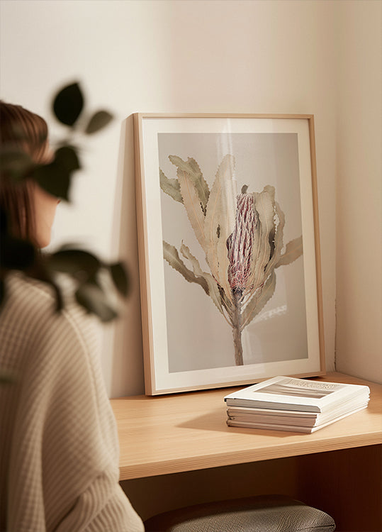 Banksia - Posterbox