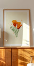 California Poppy (NEW) - Posterbox