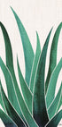 Desert Agave Cactus Plakat - Posterbox