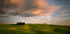 Fields... - Posterbox