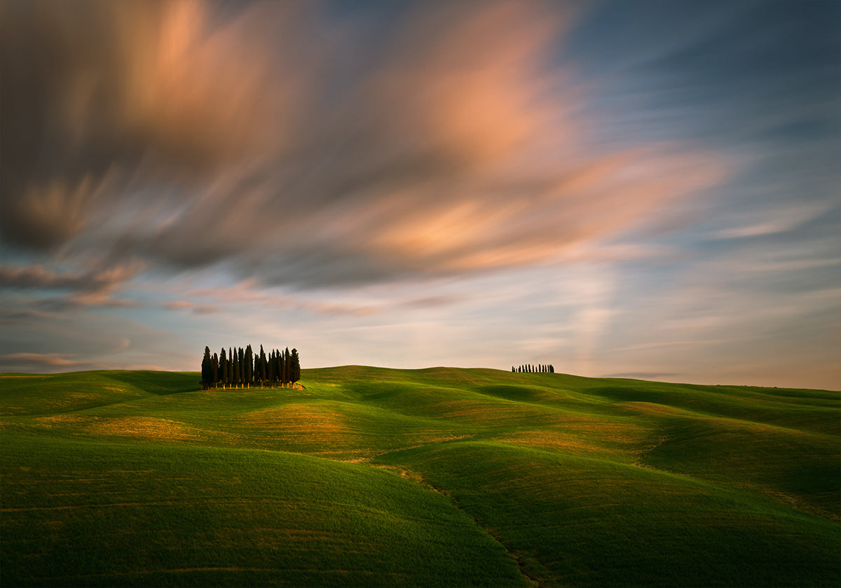 Fields... - Posterbox