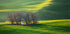 Fields... - Posterbox